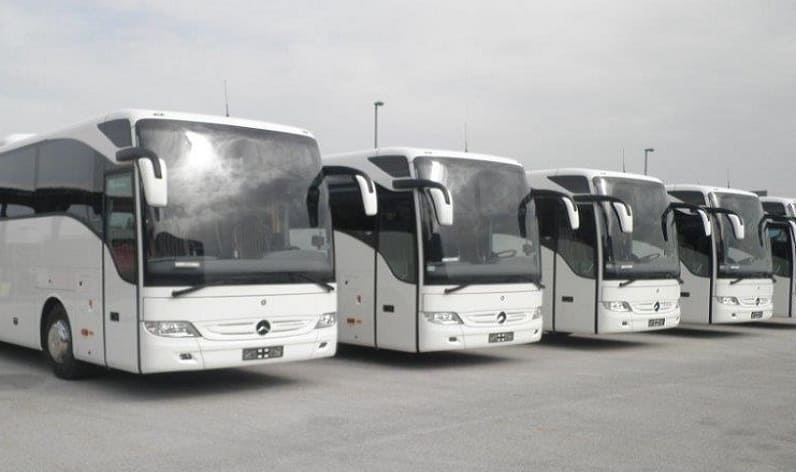 Norway: Bus company in Nordland in Nordland and Norway