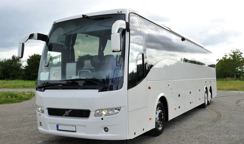 Finland: Buses agency in Lapland in Lapland and Tornio