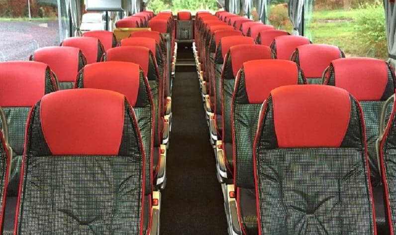 Finland: Coaches rent in Southern Savonia in Southern Savonia and Pieksämäki